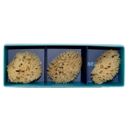 Close-up detail of the porous, soft texture of three unboxed Kalyspongea face sponges, ideal for sensitive skin and gentle exfoliation.