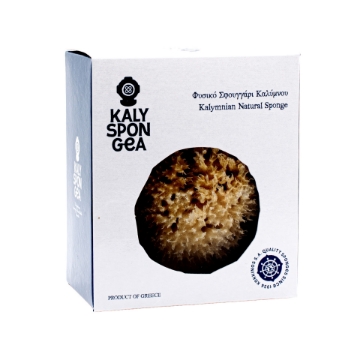 Kalyspongea Kalymnian Natursvamp – Premium grekisk havssvamp | Handplockad, hypoallergen, biologiskt nedbrytbar bad- och kroppsvård från Medelhavet